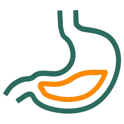 GASTRO-ENTROLOGIST-SURGERY Image