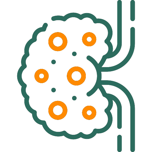 NEPHROLOGY Image