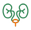 UROLOGY Image
