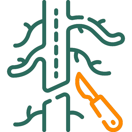 VASCULAR SURGERY Image